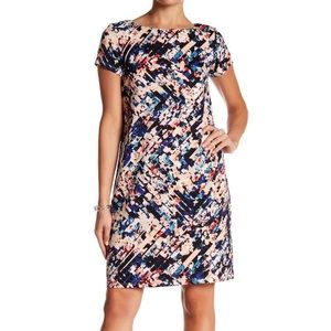 Multi-Colored Shift Dress